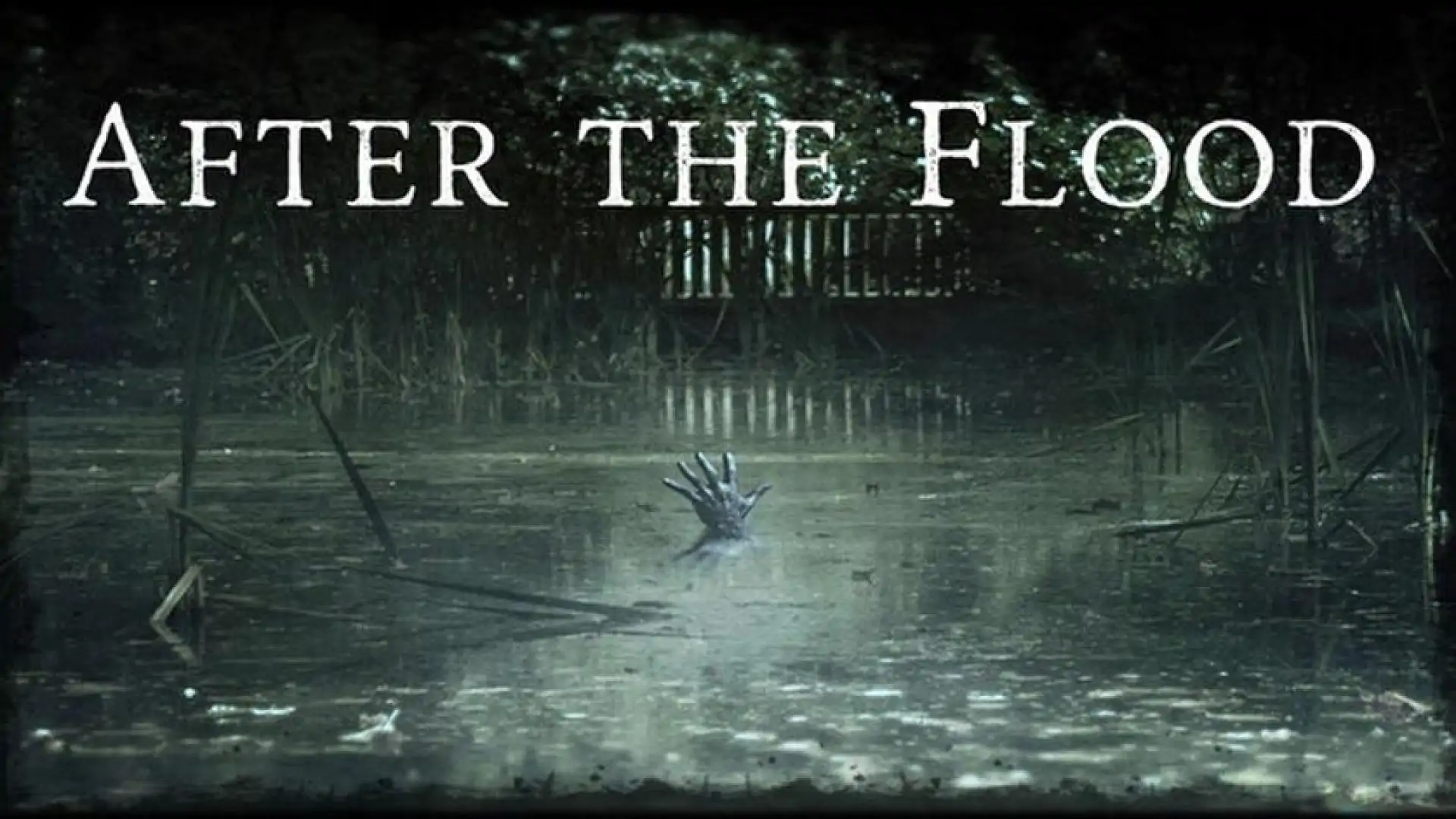 After the Flood