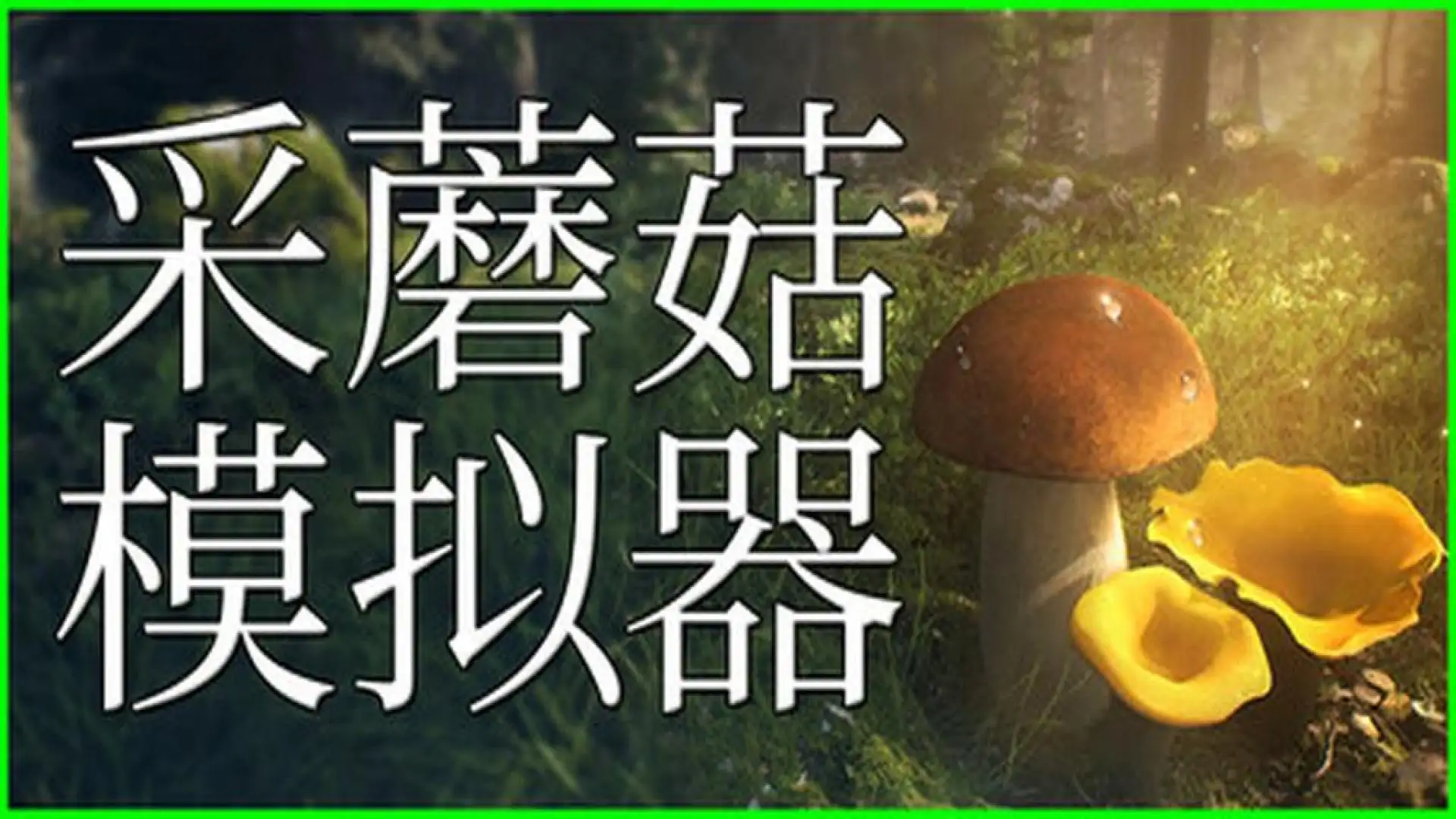 采蘑菇模拟器-Mushroom Hunter Simulator