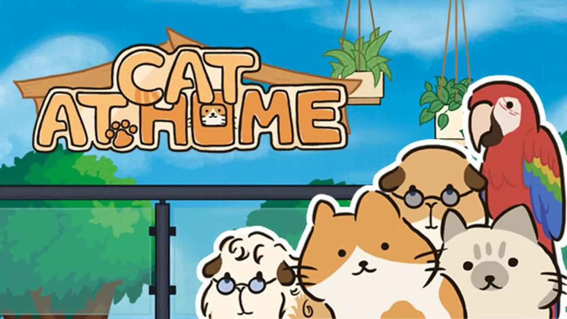 猫在家里