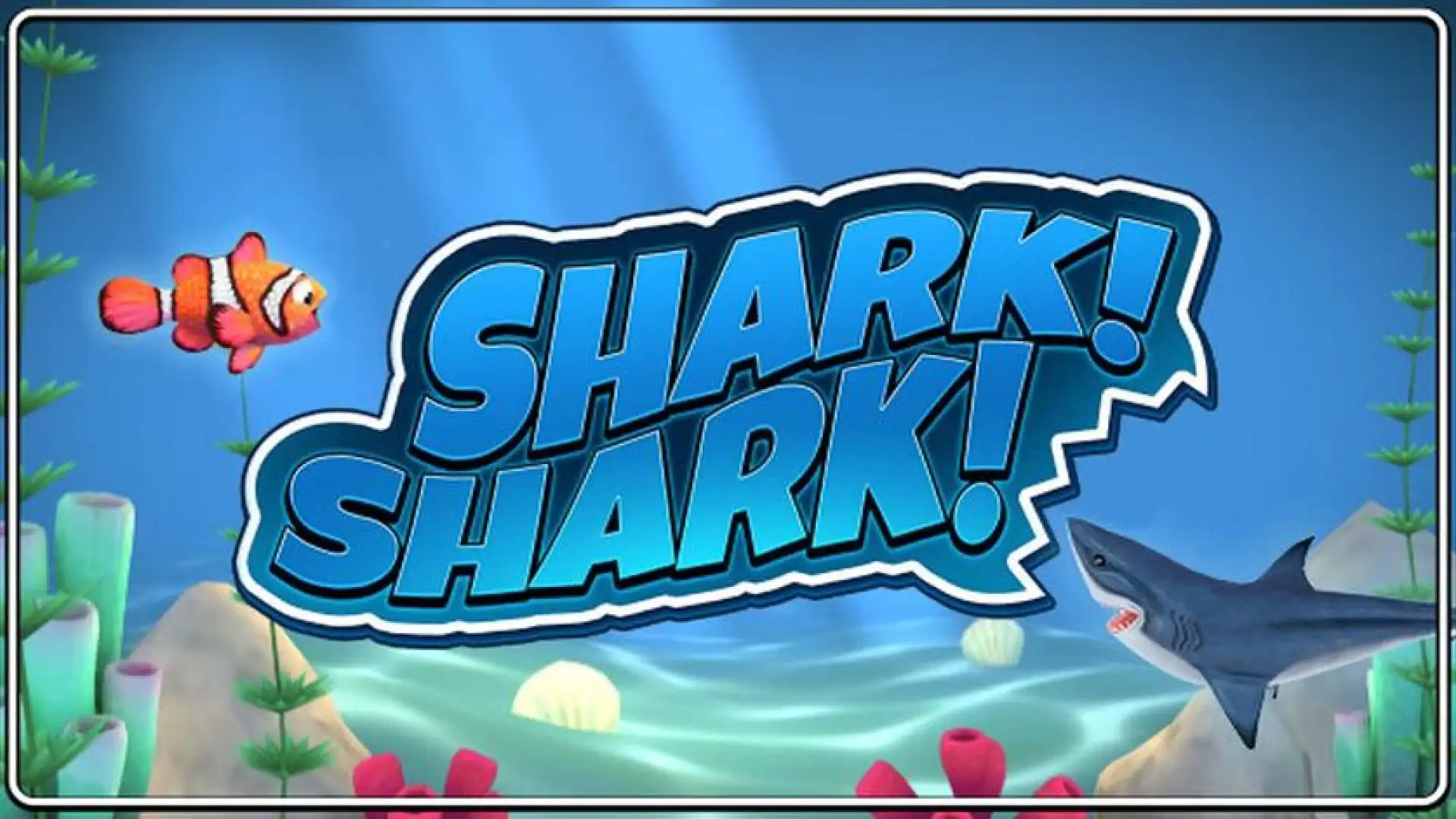SHARK! SHARK!