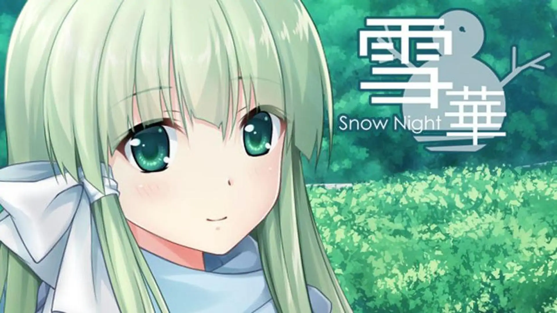 SnowNight