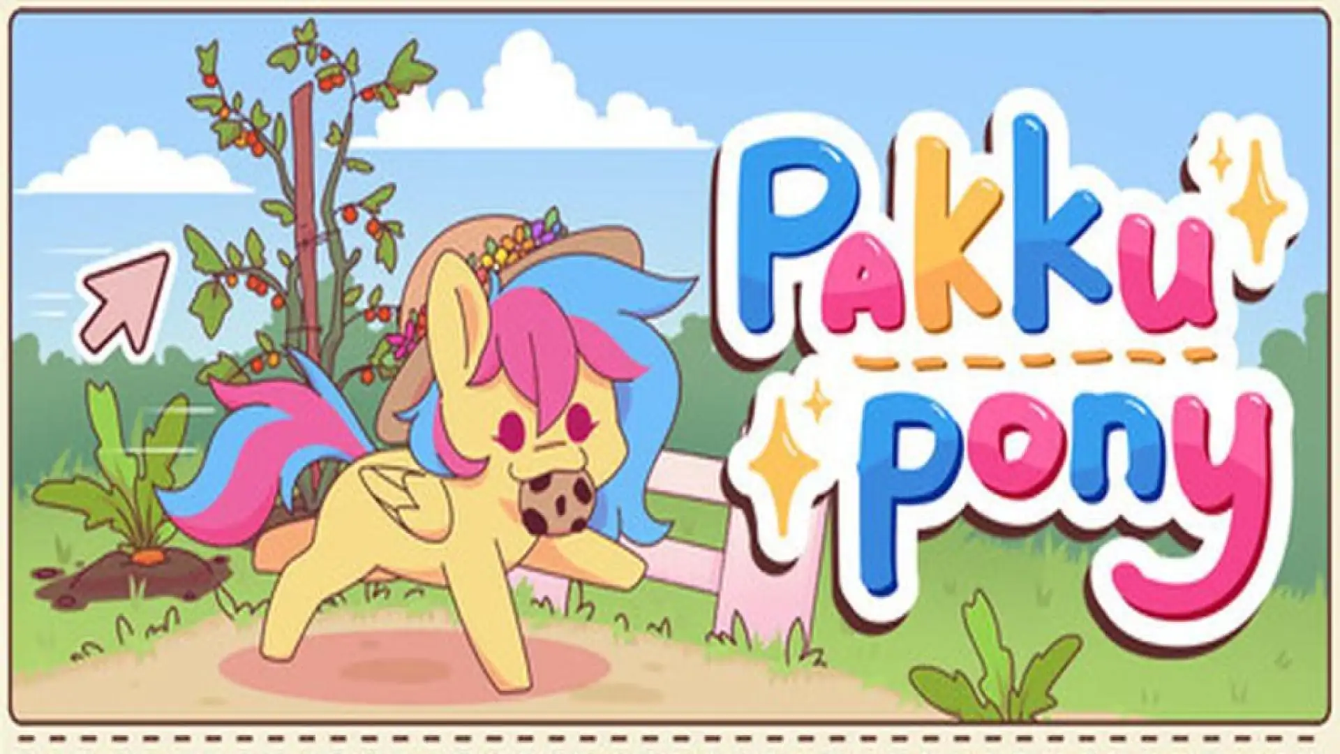 Pakku Pony