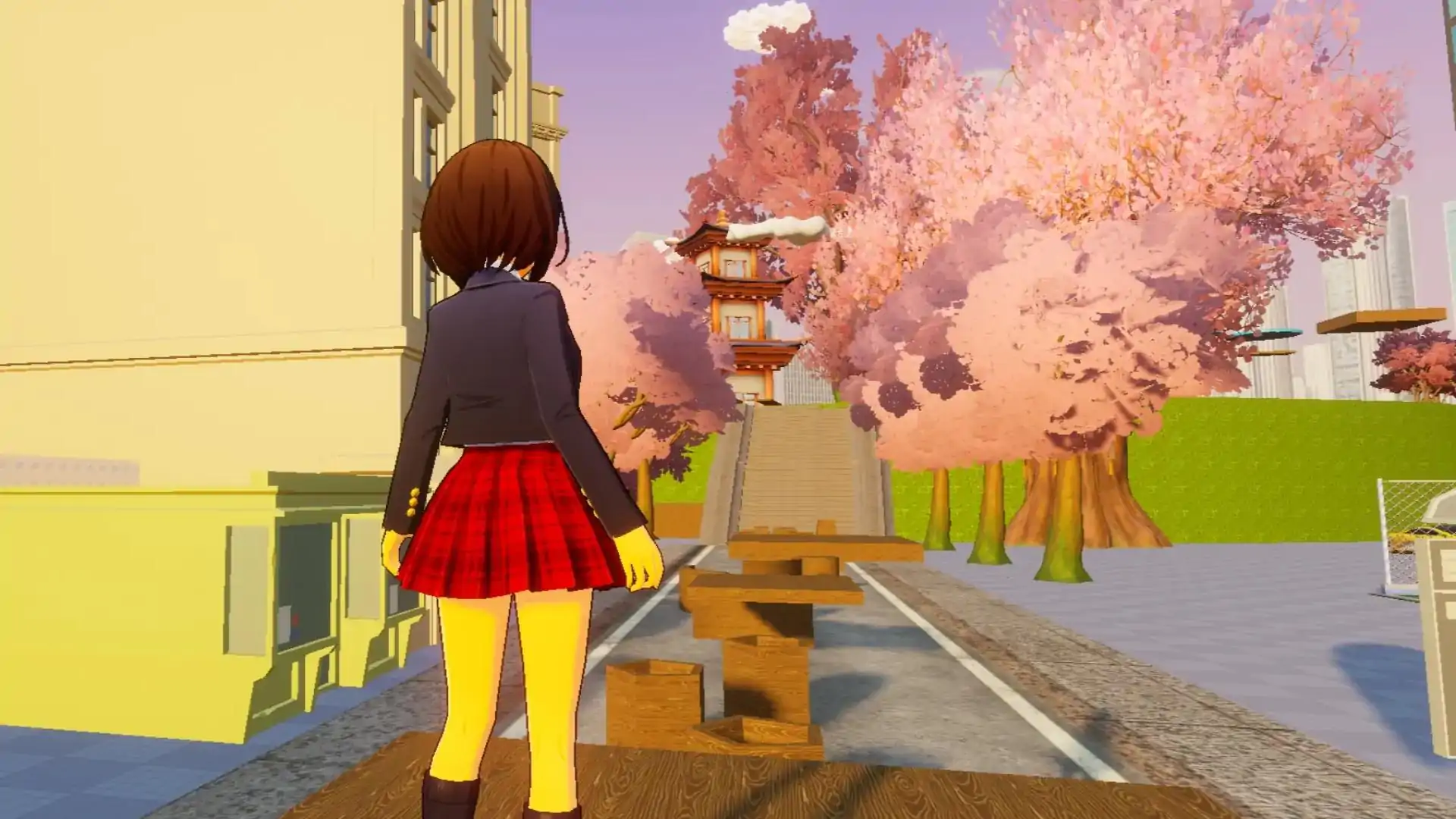 樱花大道