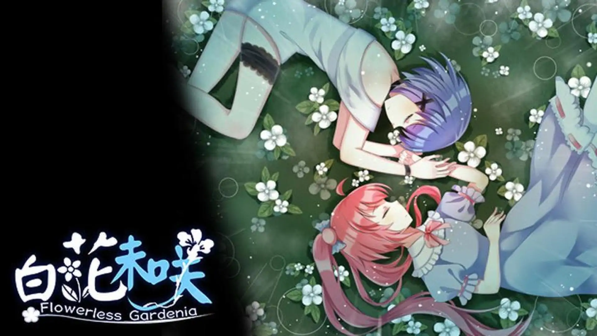 Flowerless Gardenia 白花未咲