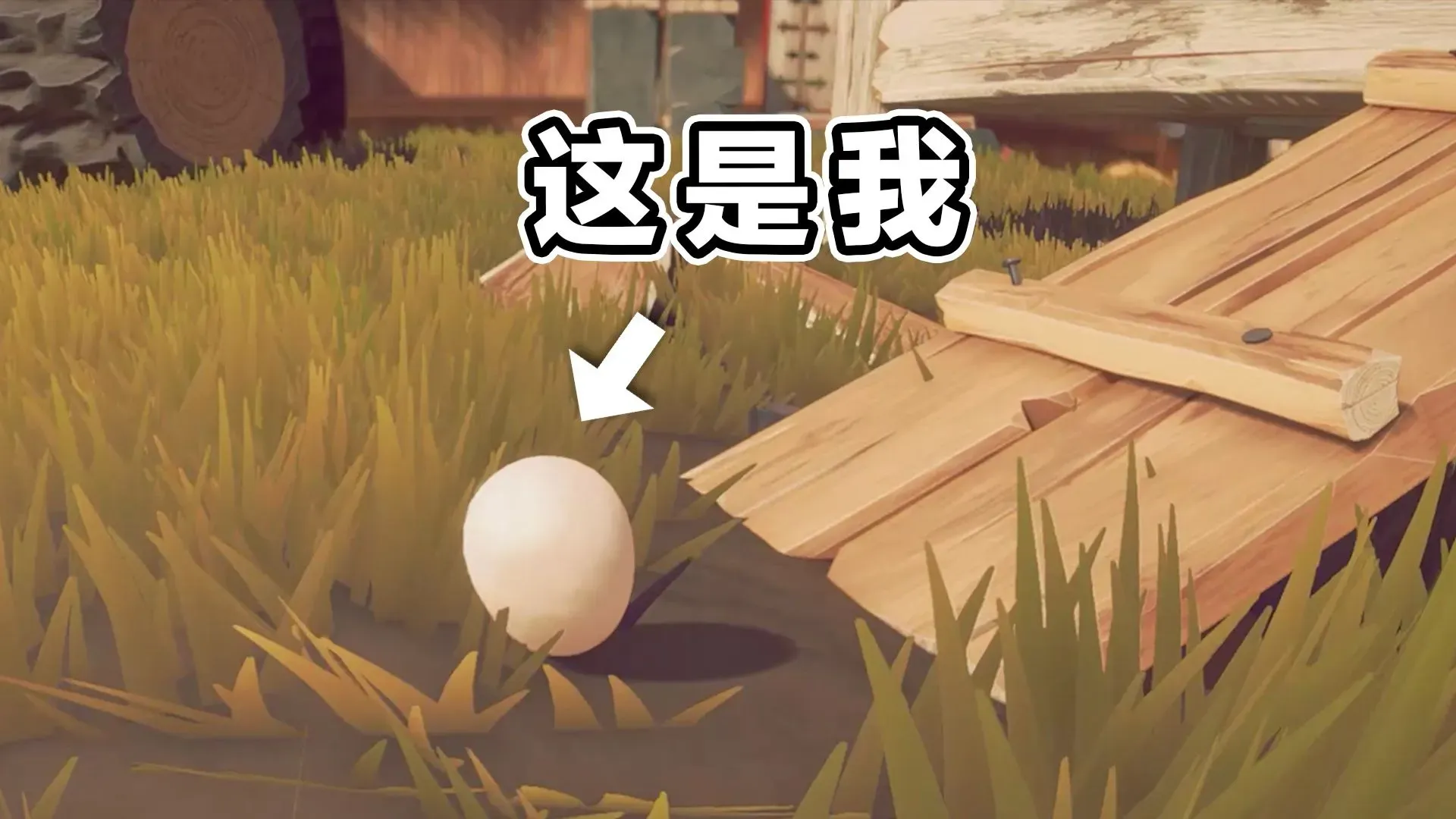 鸡蛋历险记（闪迹云游戏）
