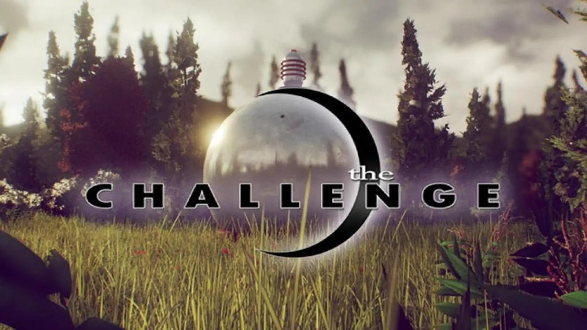 The Challenge