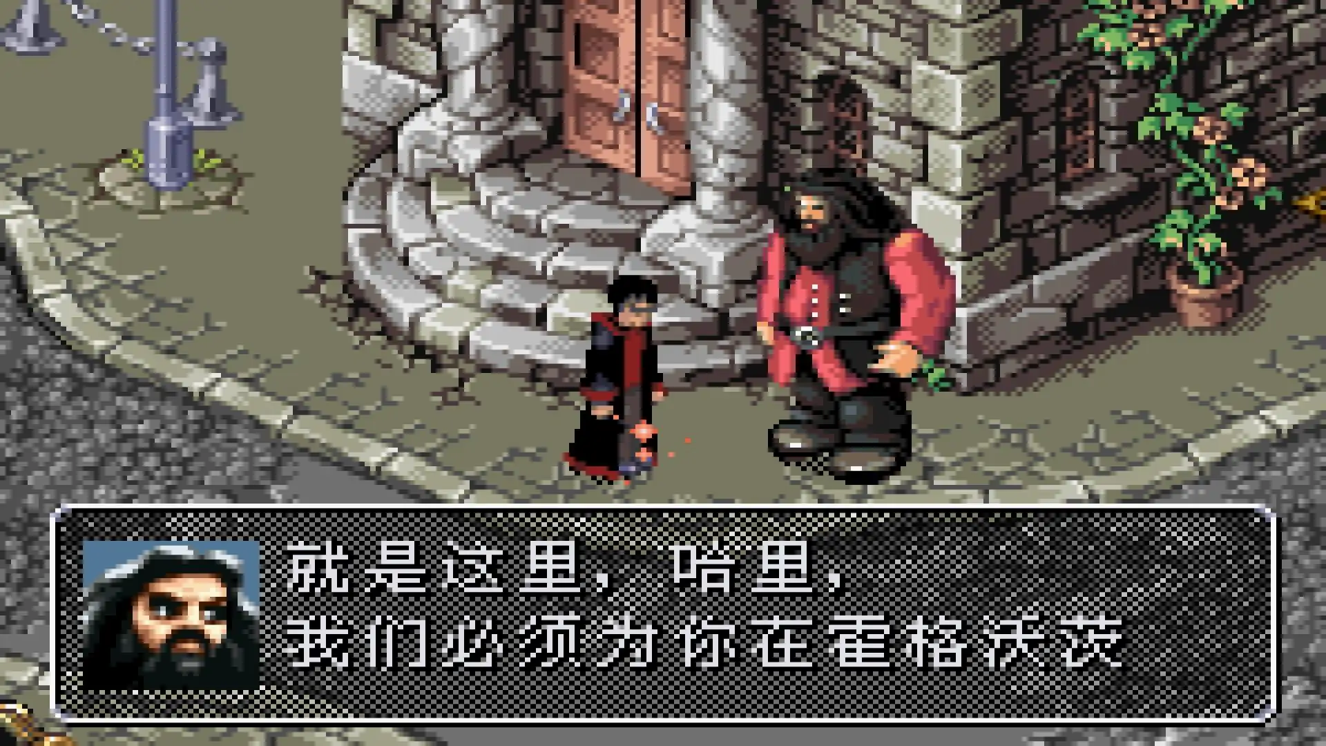 哈利波特:消失的密室(GBA游戏)