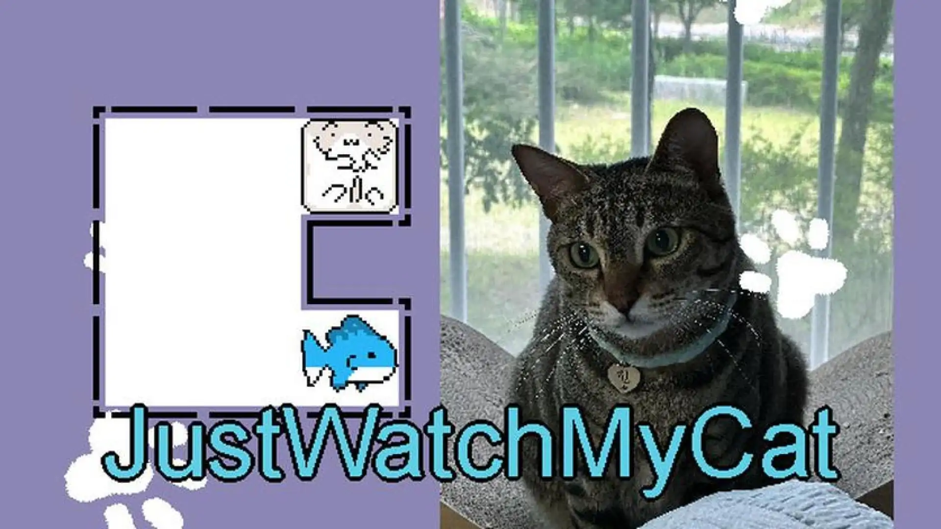JustWatchMyCat