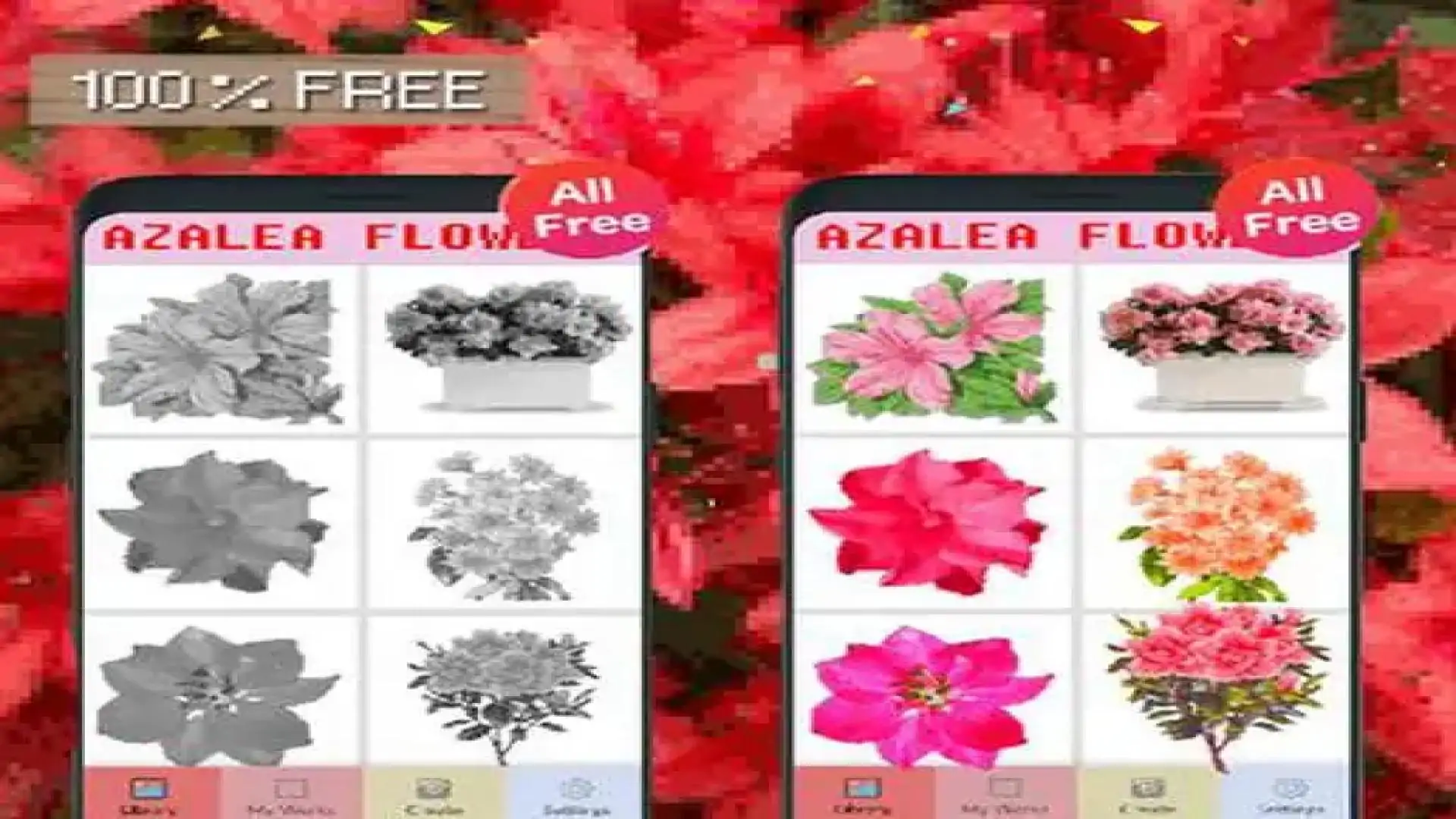 杜鹃花颜色数字像素艺术