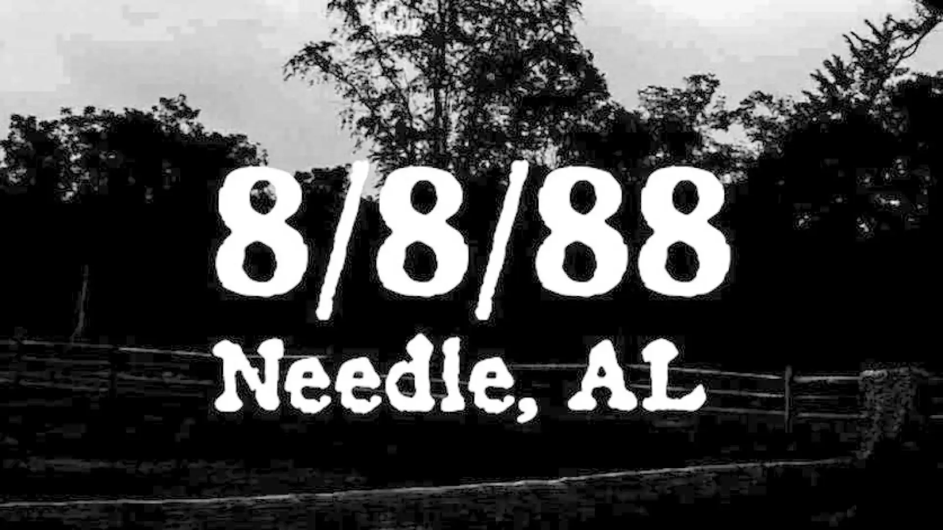8/8/88 Needle AL