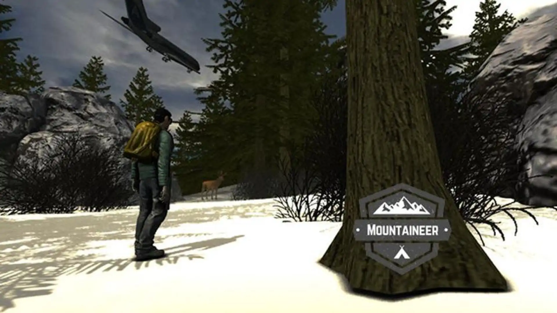 Mountaineer