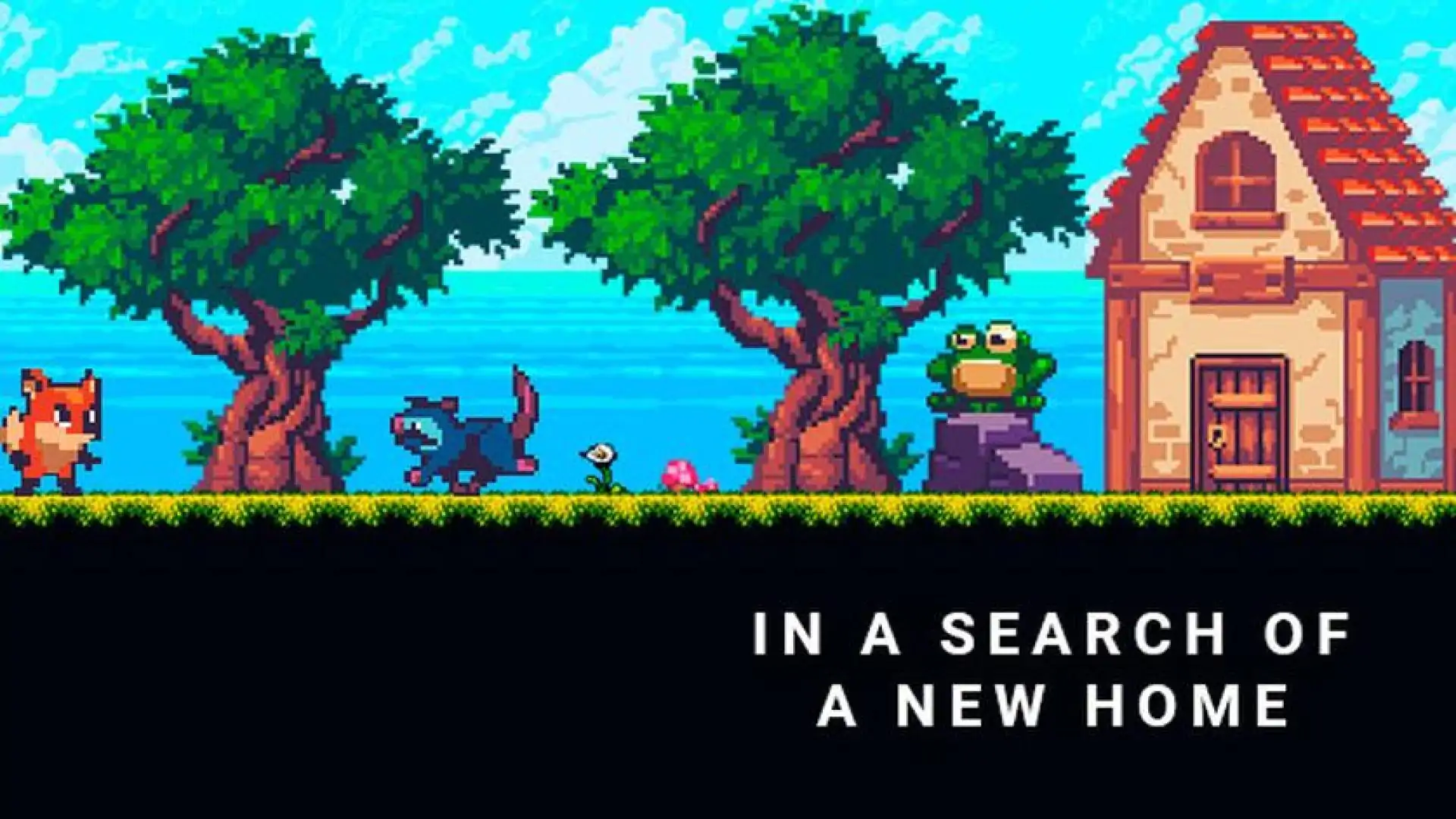 In a search of a new home