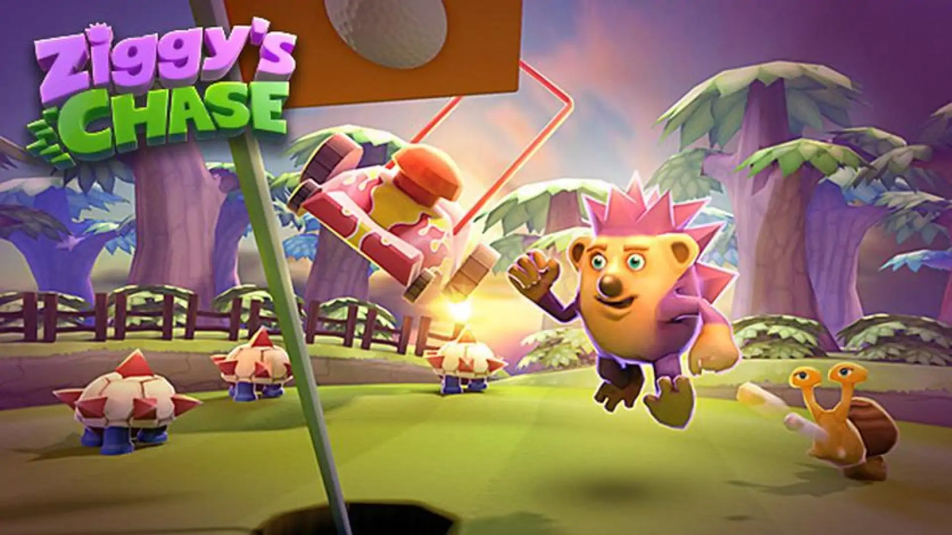 Ziggy's Chase