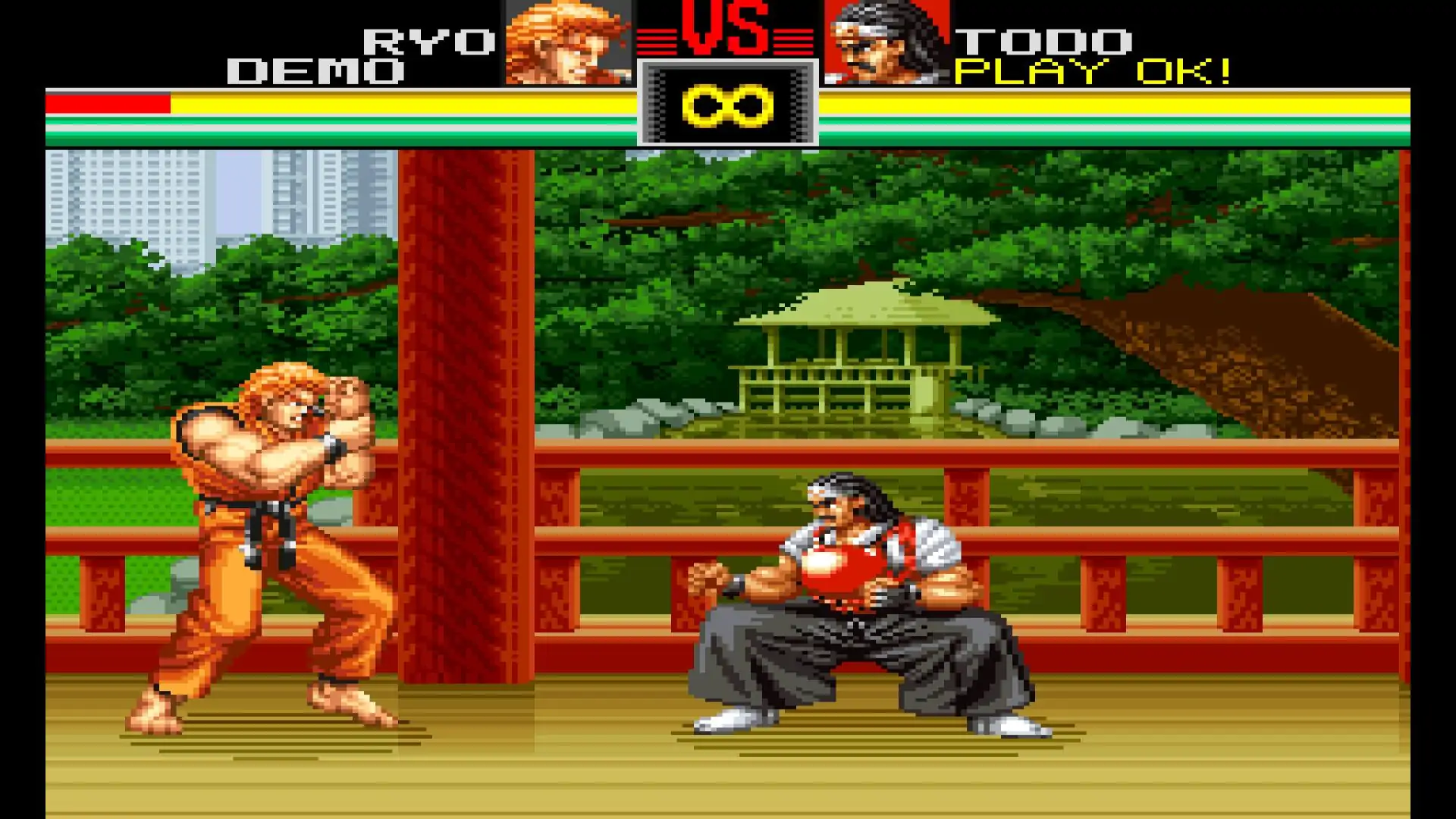 龙虎之拳
