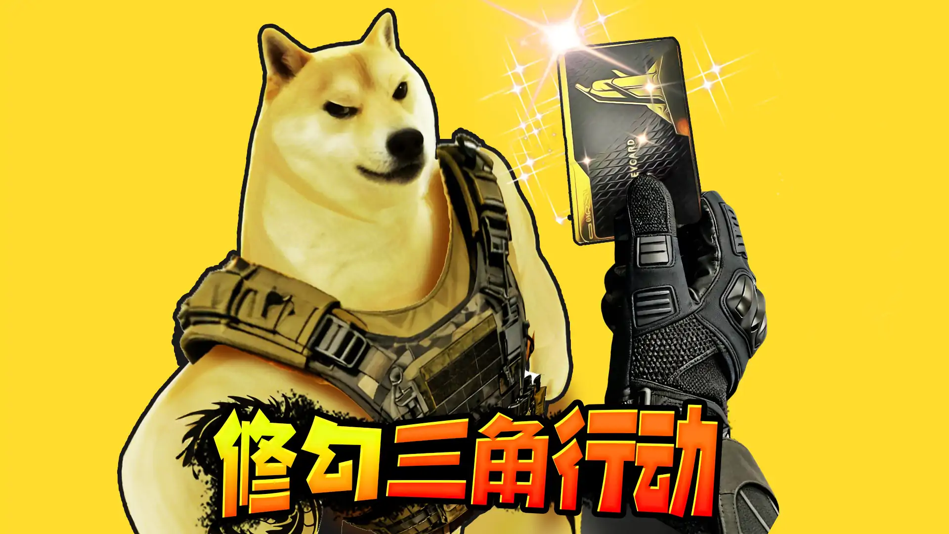 修狗三角行动
