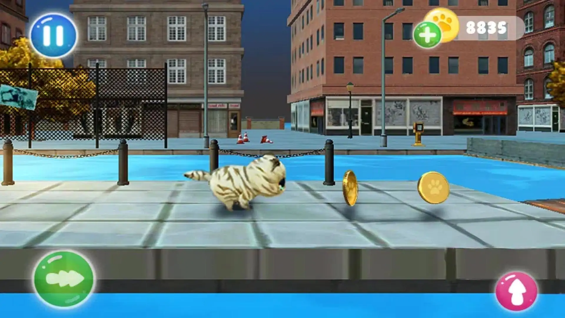 猫跑模拟器