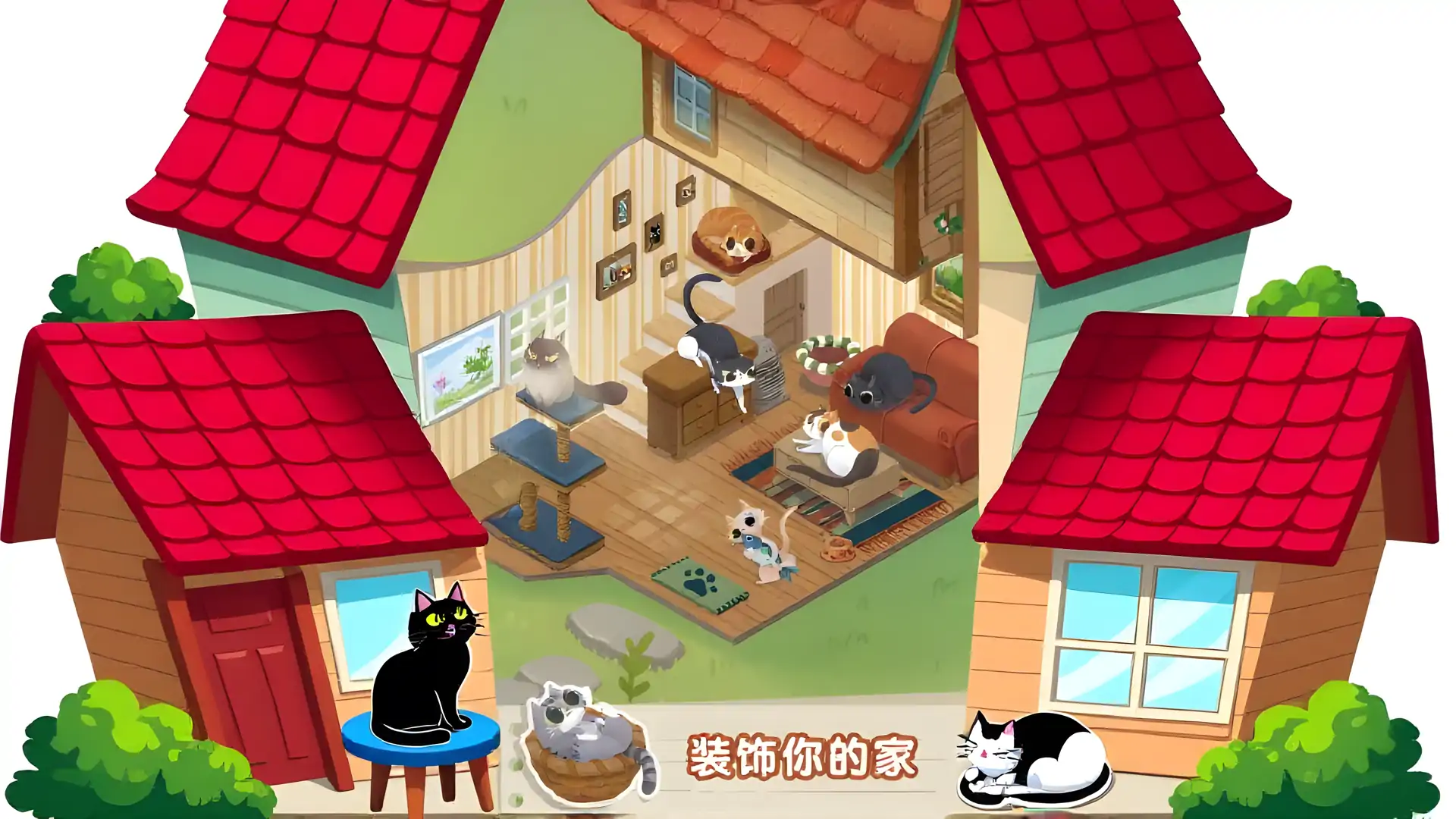 舒适的猫