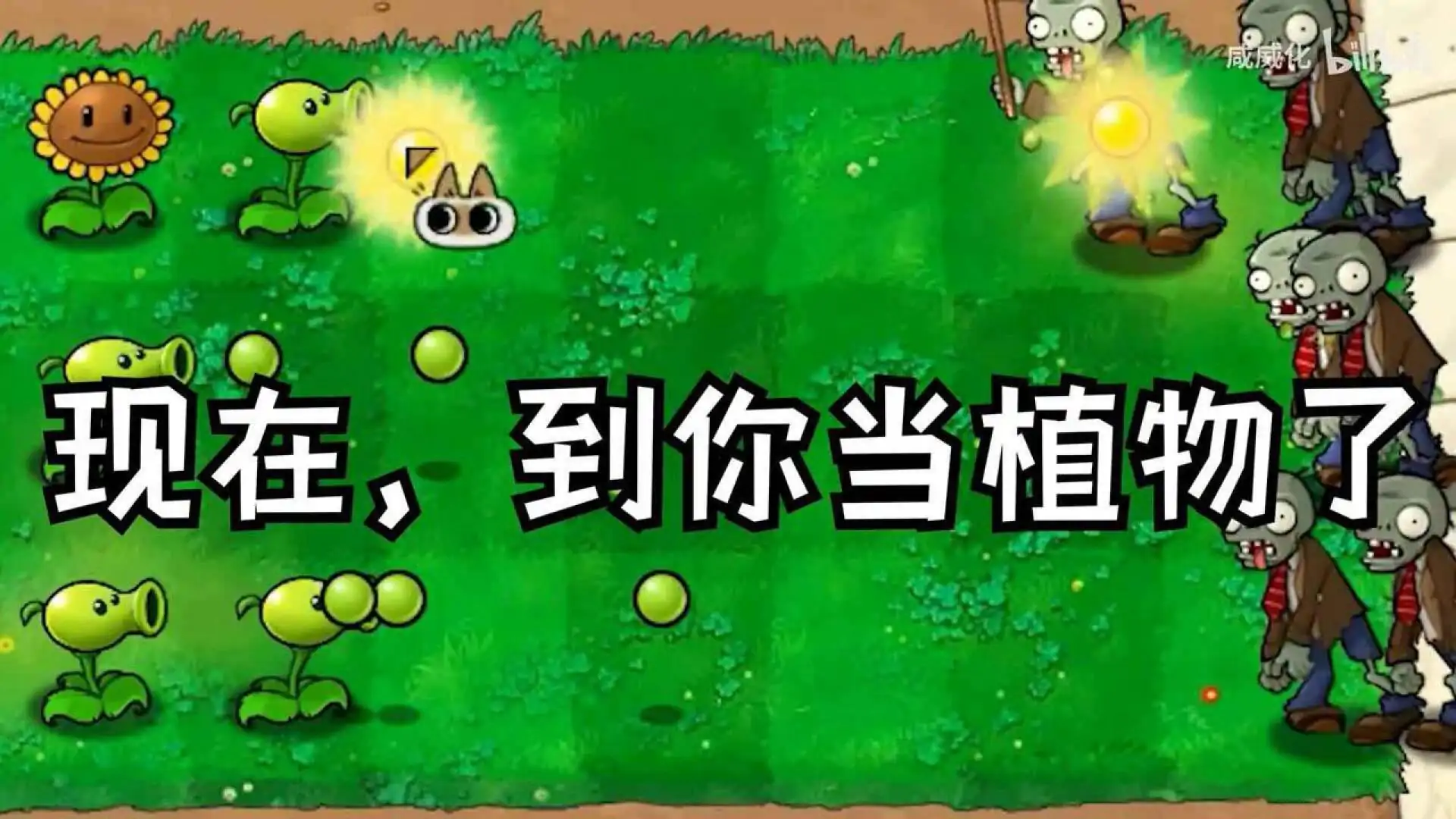植物大战僵尸繁琐版(预约)