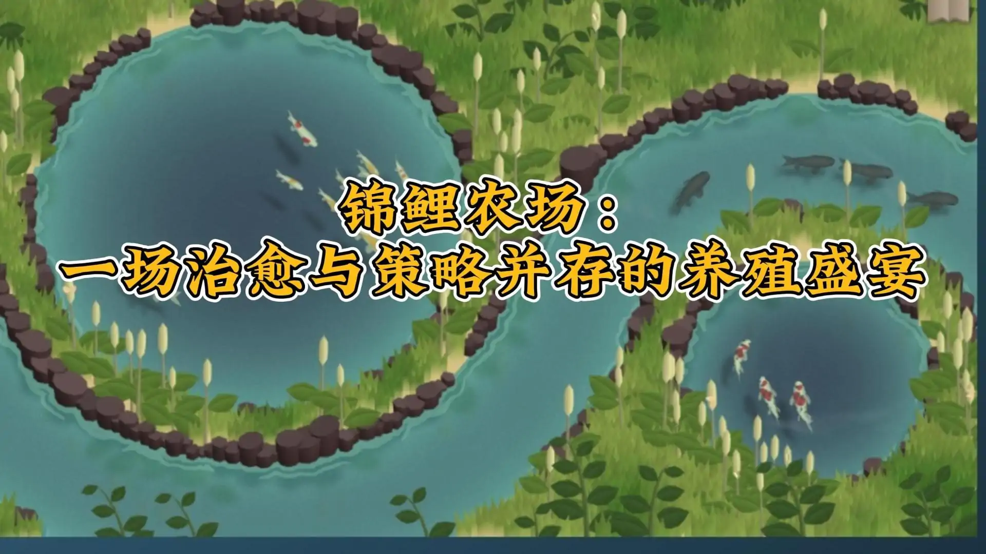 锦鲤农场