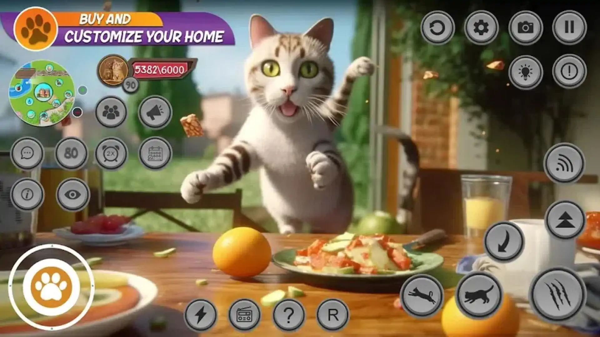 动物猫游戏