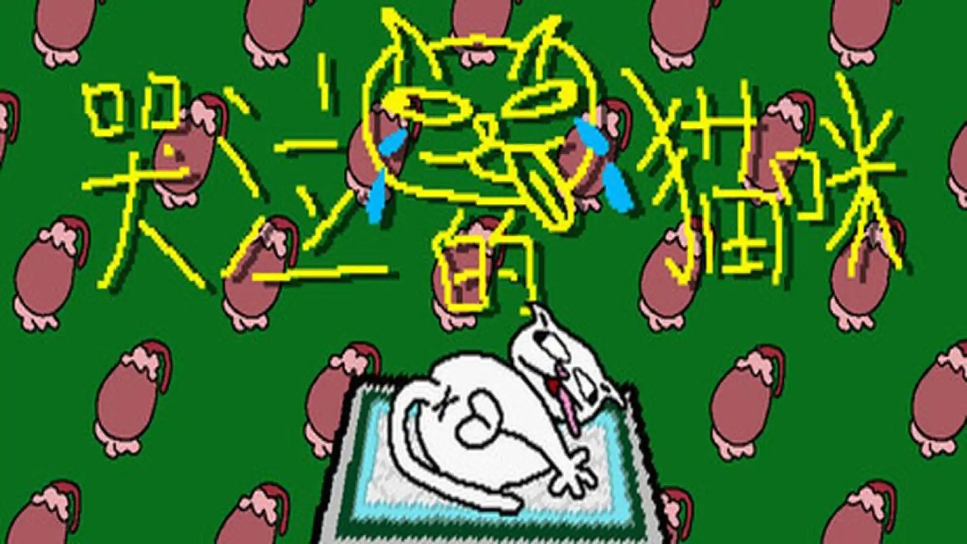 哭泣的猫咪