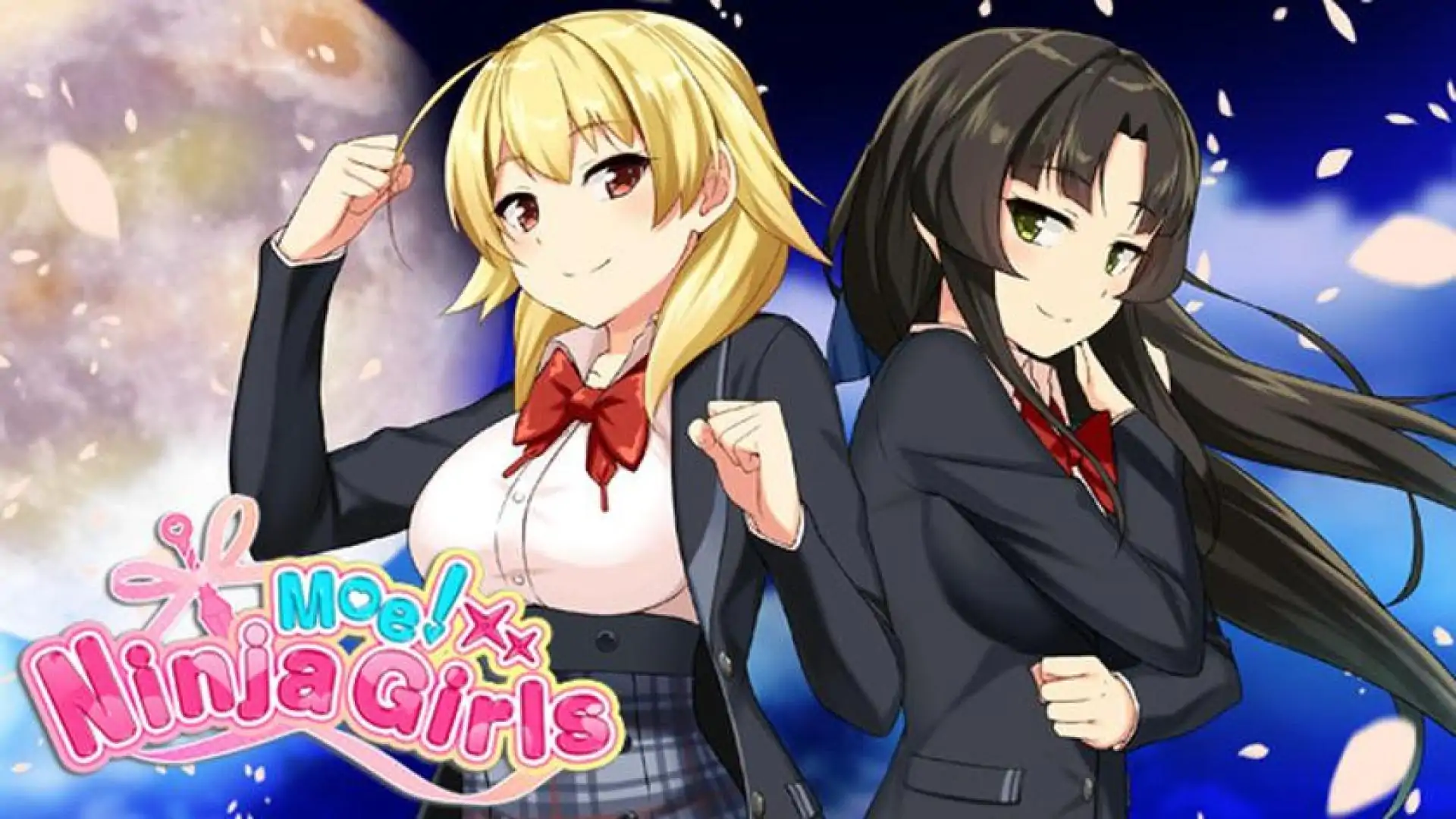 Moe! Ninja Girls
