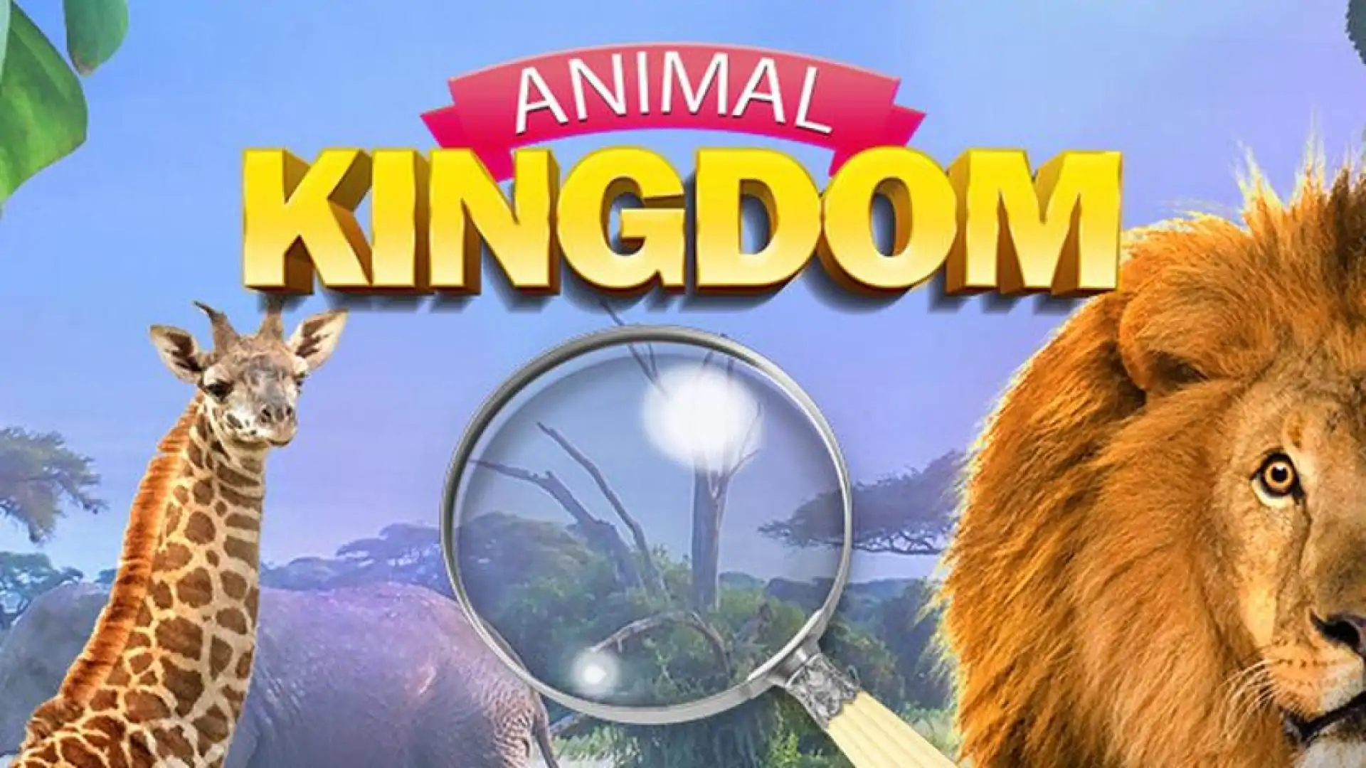 Animal Kingdom