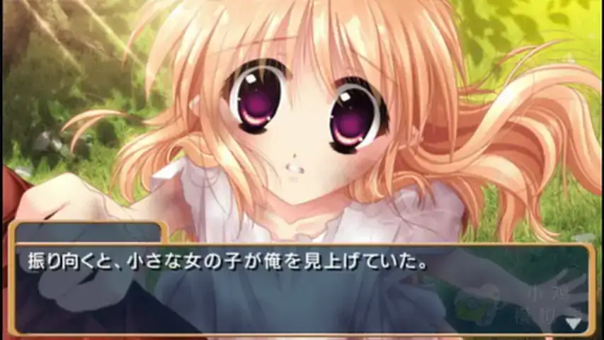 飞龙少女养成记(PSP游戏)