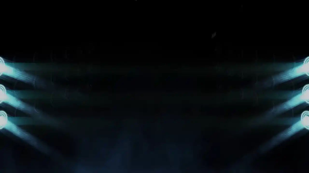 明星养成有限公司