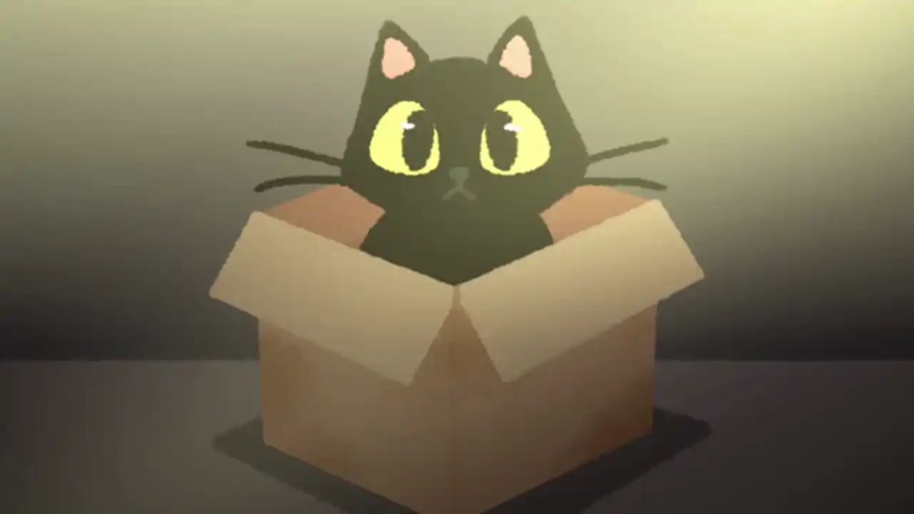 别带这只猫回家（心电汉化）