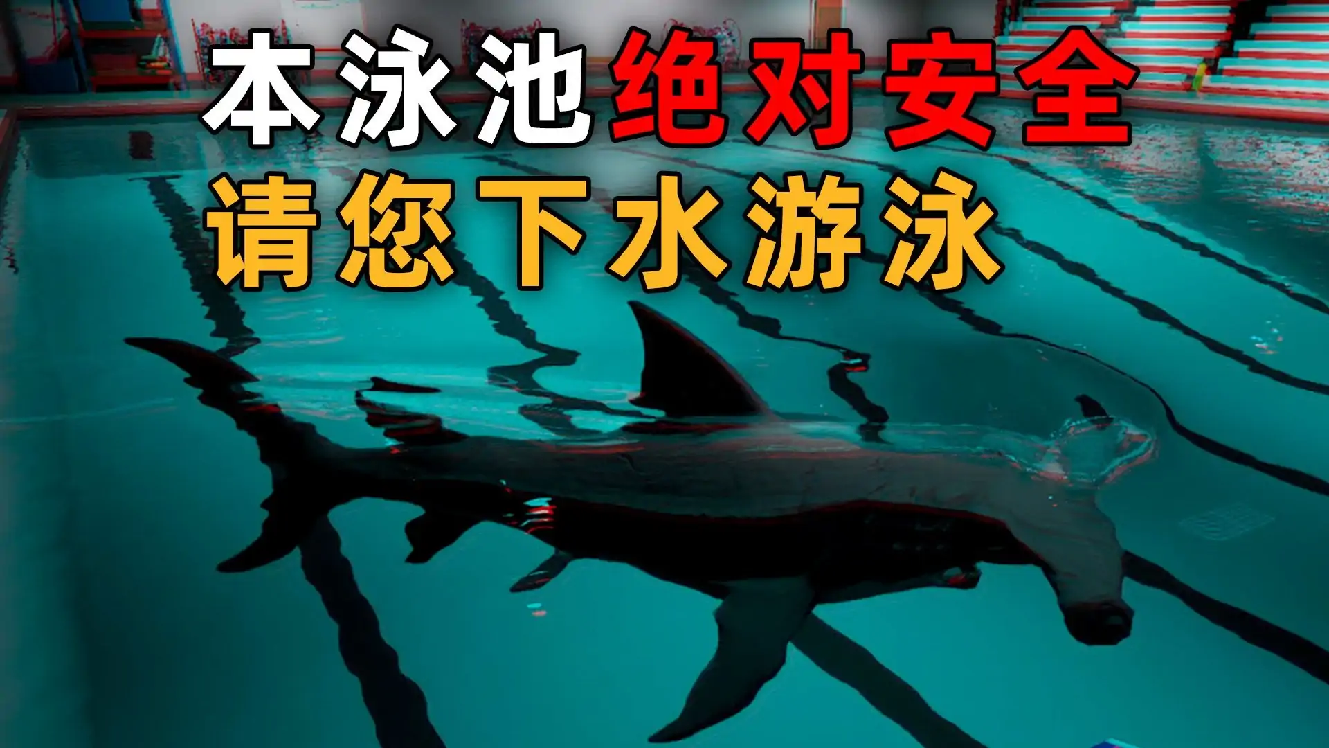 鲨鱼和小鱼（预约）