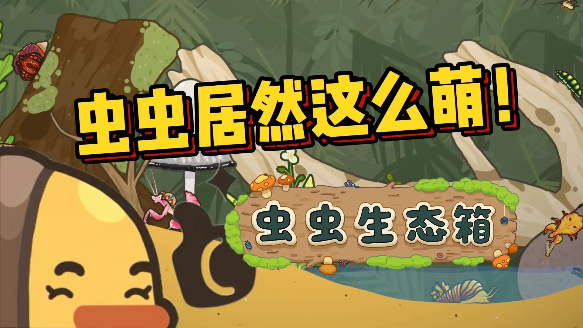 虫虫生态箱（预约）