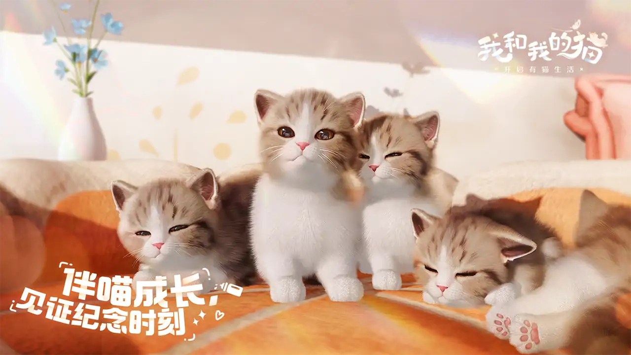 我和我的猫（预约）