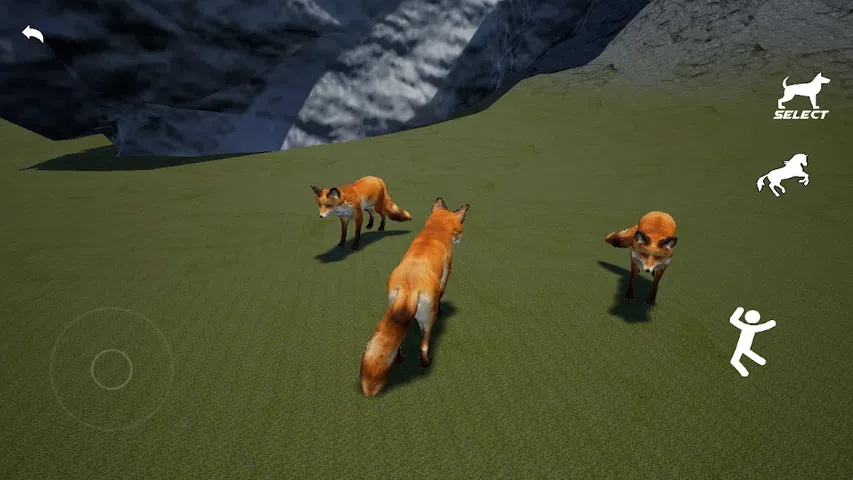 动物世界：狐狸模拟器