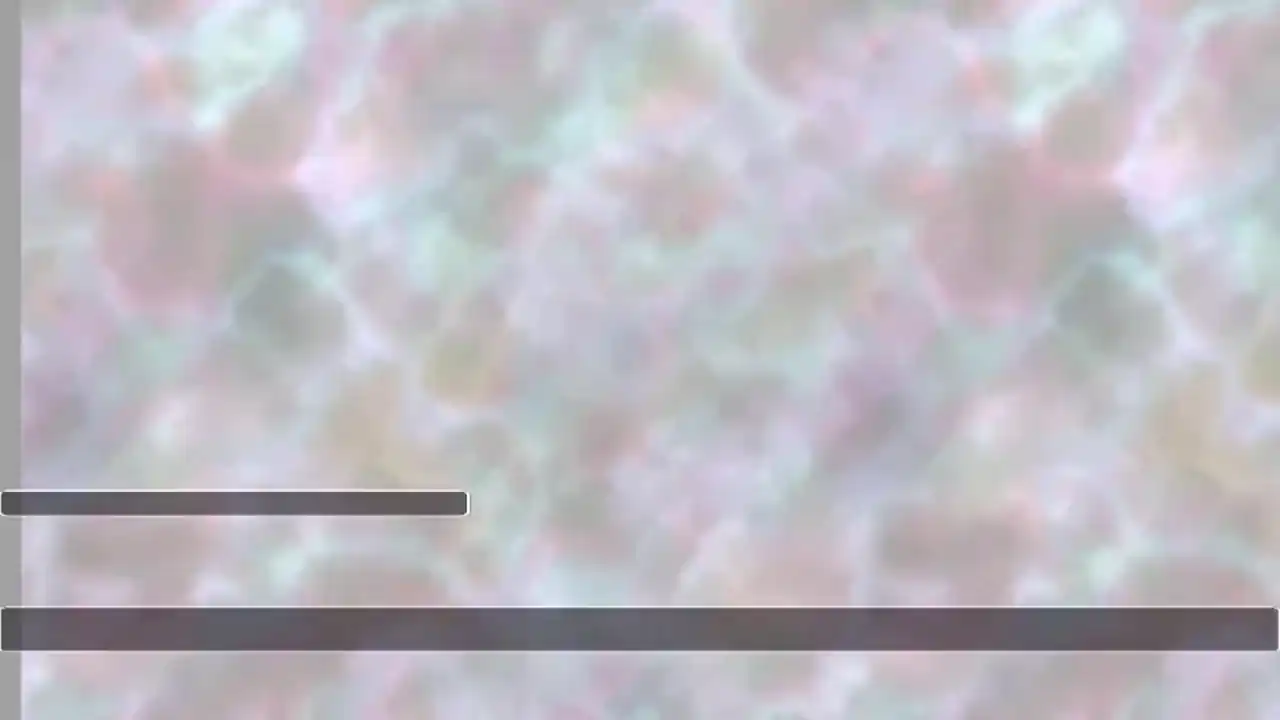 Kira's Contract