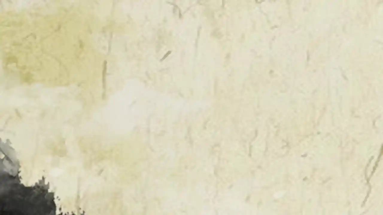 琳 ， 画在方块上的少女故事