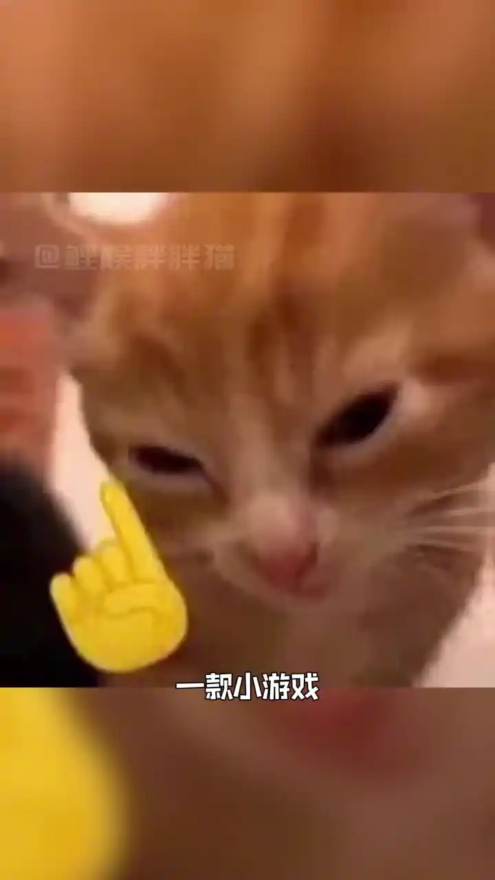 小猫围棋(抖音同款)