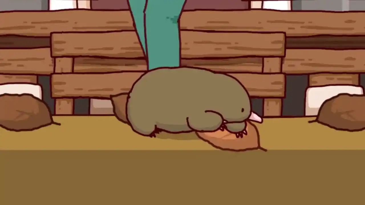 鼹鼠生活