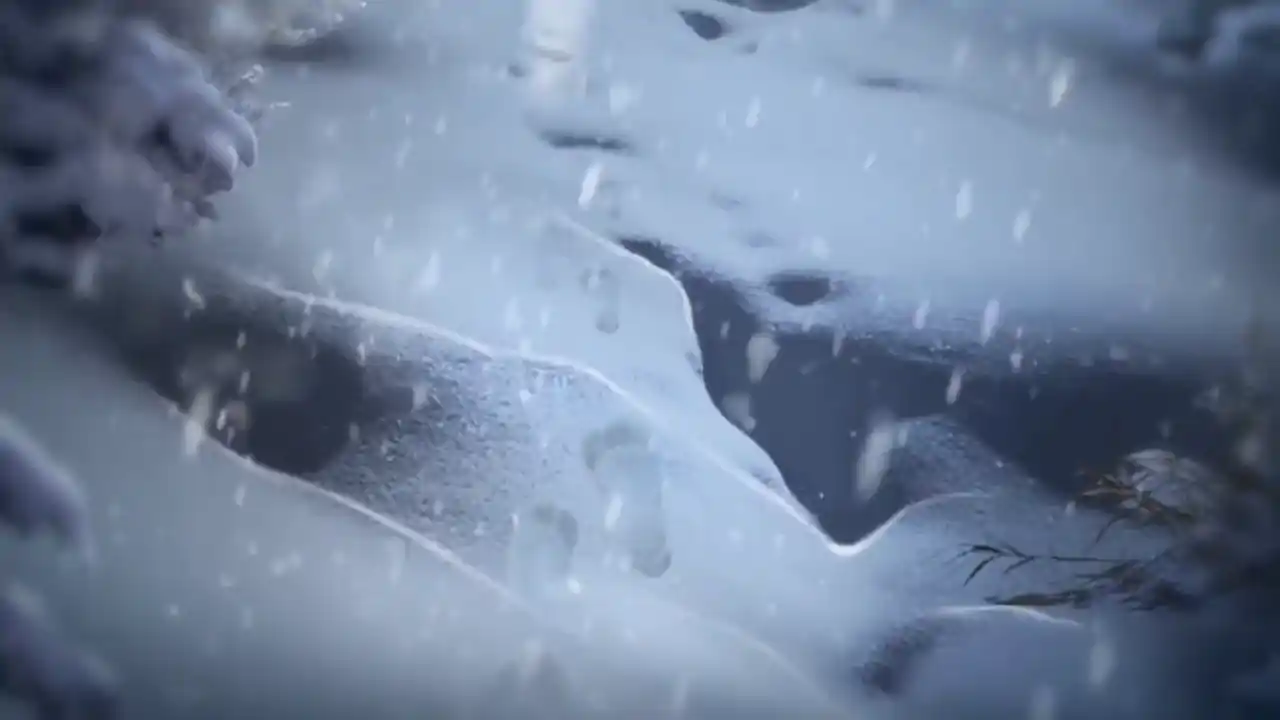 Myth Or Reality: Snowbound Secrets Collector's Edition