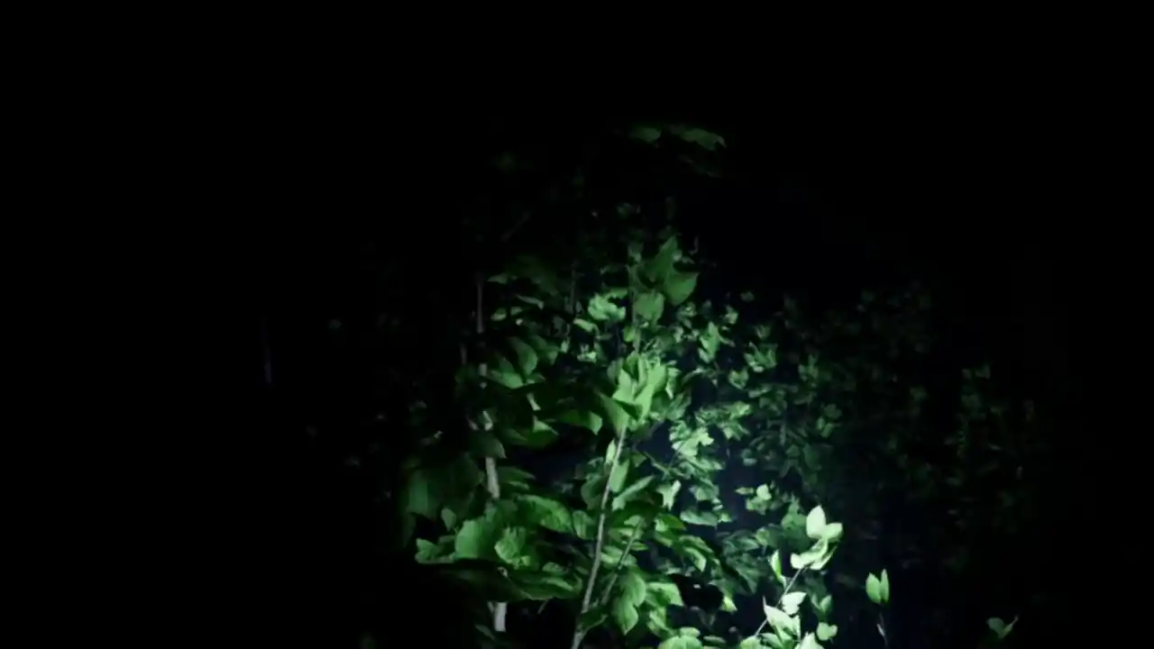 Exanimum: The Silent Call