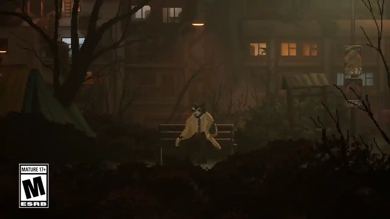 浣熊硬探