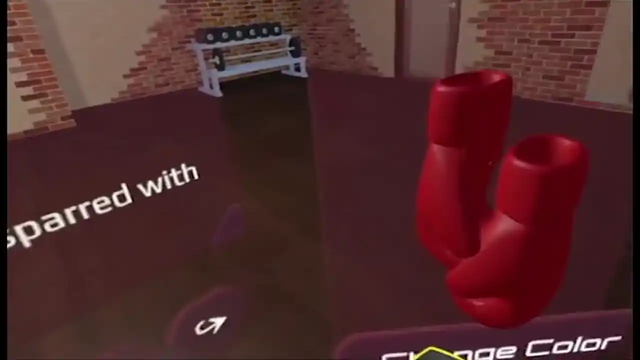 Fight Sparring VR