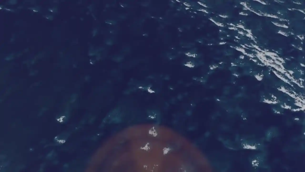 Joy Flight