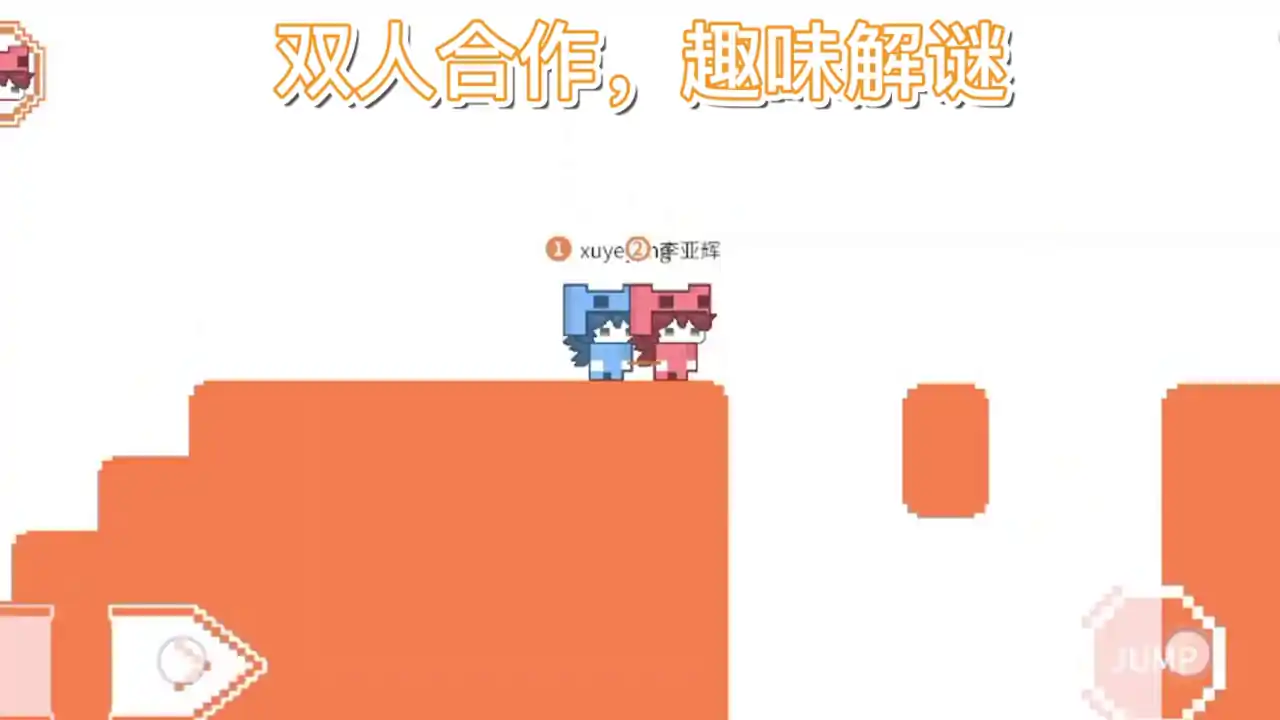萌猫派对