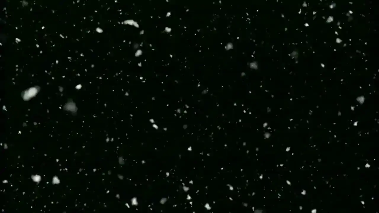 Antarctica 88