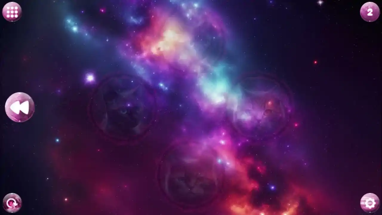 Space Memory: Cats