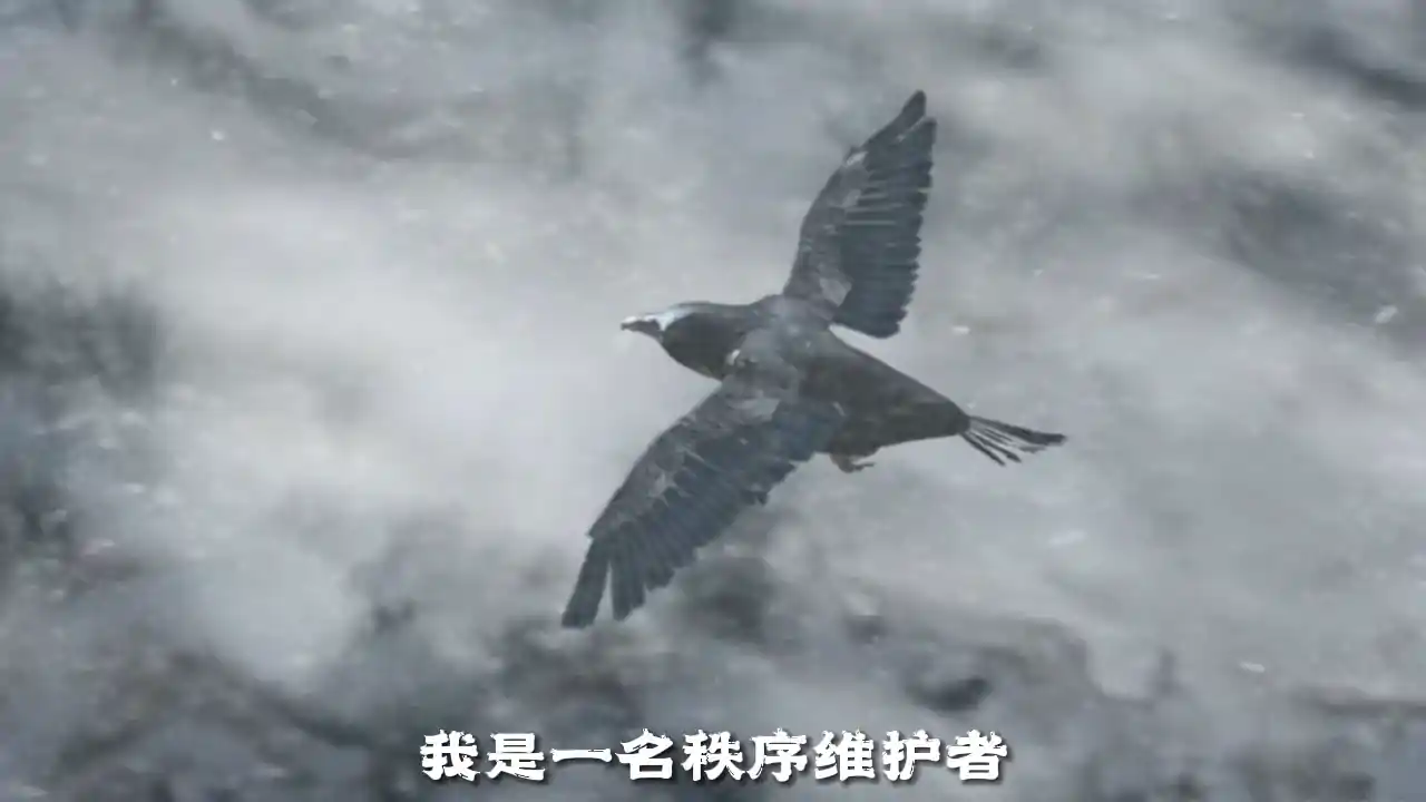 密室逃脱5逃出博物馆