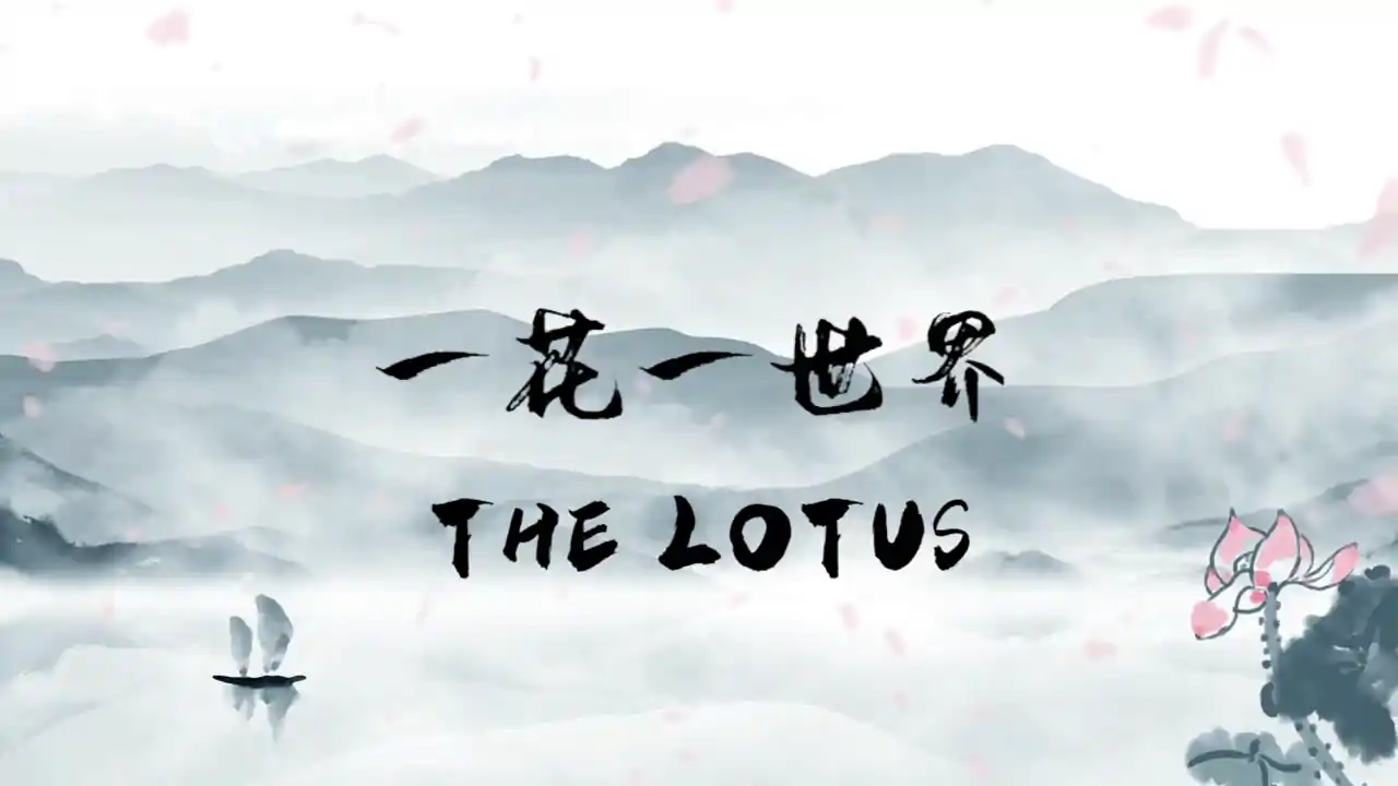 一花一世界 | The Lotus