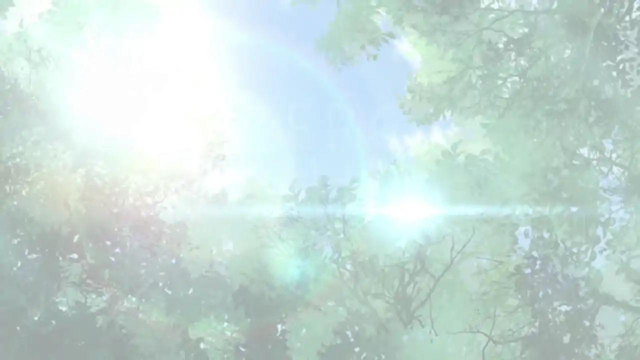 Fox Hime Zero