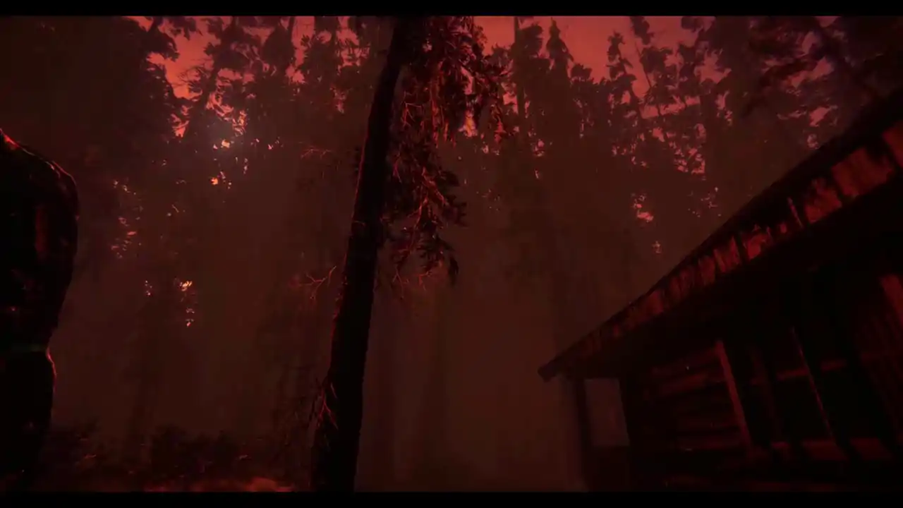Shroud of the Woods